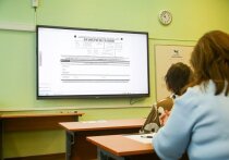 Оказывается, не только экзаменаторы ищут ошибки у экзаменуемых, но и выпускники тоже не прочь уличить в ляпах составителей заданий – и иногда им это удается. Вот и йошкаролинские школьники обнаружили неточность в  тестовой части ЕГЭ по литературе. Вспыхнувшие разбирательство вскрыло, что не они одни и не только в тестах по этому предмету. 