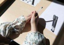 8 июня все выпускники российских школ сдавали «гос» по математике, только одни - «профиль», другие - «базу»