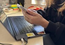 Как выяснили аналитики, жители Калининградской области чаще других в СЗФО интересовались услугами по проверке здоровья