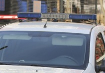 Четверо мигрантов из Афганистана изнасиловали 17-летнюю британку