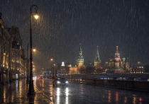 Московский комплекс городского хозяйства обратился к жителям столицы с просьбой проявить осторожность в условиях непогоды
