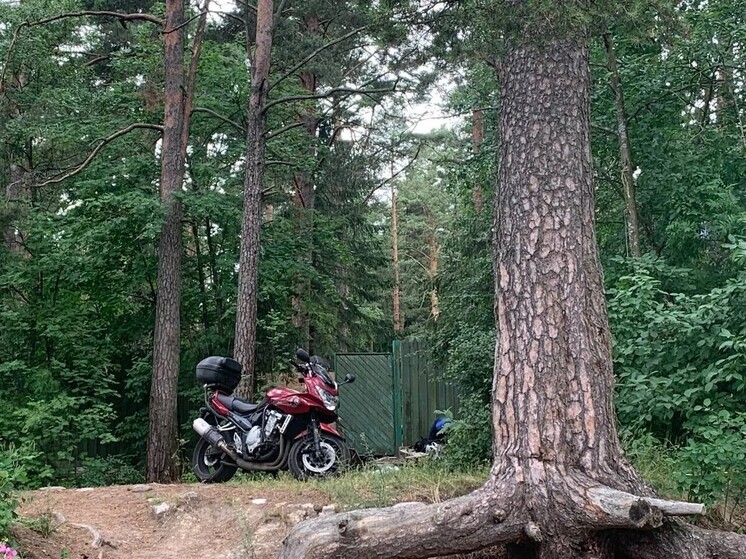 В Ломоносовском районе байкер вылетел на встречку и погиб