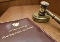 Верховный суд счел возможным простить директора лесозаготовительной компании, спилившего 2 ели и 2 осины 