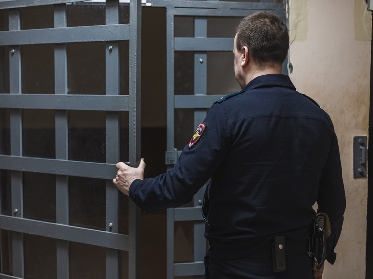 В костромском поселке Сусанино полицейские задержали двух мужчин за избиение жен