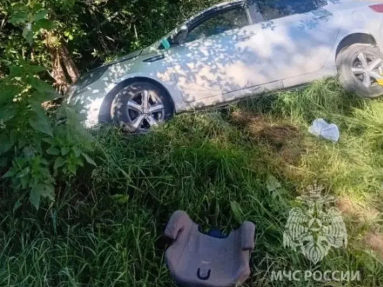 В ДТП под Тосно пострадали трое взрослых и ребенок