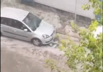 &nbsp;В столице во второй половине дня 22 июня прогнозируются гроза, выпадение града и порывистый ветер