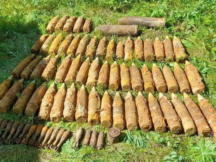В Калужской области нашли артснаряды и минометные мины