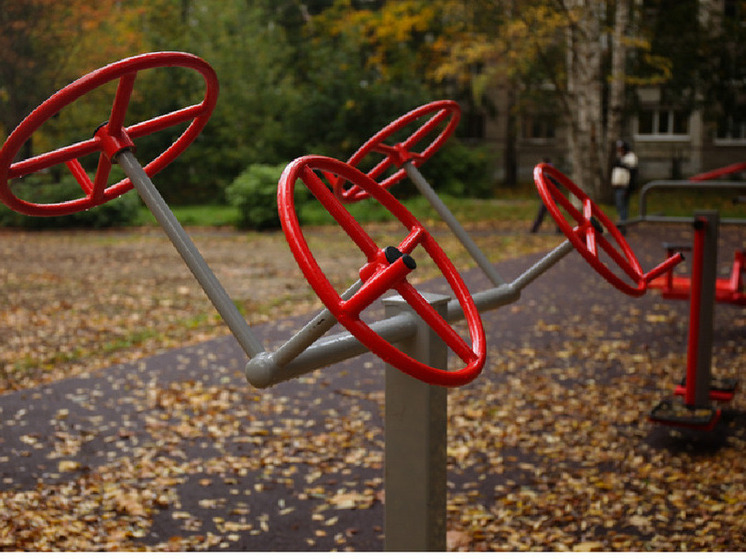 «Богатырская поляна» появится в Череповце на улице Годовикова