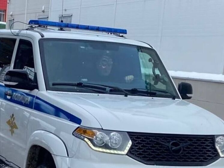 В Тосно подростки на камеру облили сверстницу маслом и избили
