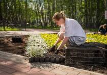 В Мурманске проект «Работа рядом», который реализуется в рамках народной программы «На Севере — жить!», стал одной из заметных мер поддержки жителей. Об этом сообщил глава города Иван Лебедев в своем канале МАКС.