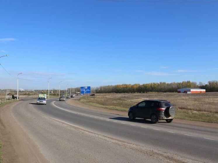 В ГАИ Башкирии рассказали, что делать при встрече с лосем на дороге