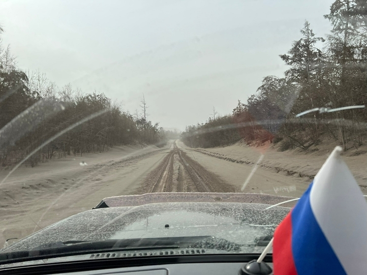 Облако пепла от вулкана Шивелуч накрыло аэропорт в Петропавловске-Камчатском