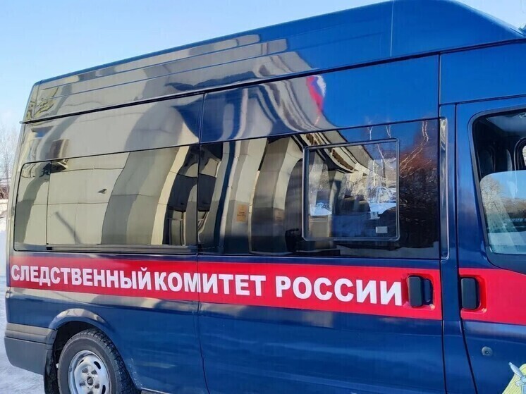 Глава СК потребовал доклад по делу об удержании подростка в гараже в Барнауле