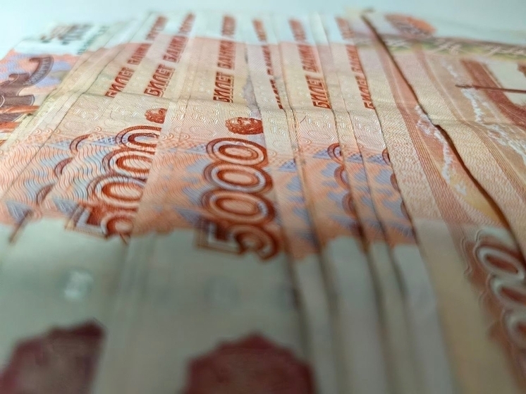 Житель Биробиджана лишился 146 тысяч из‑за покупки мотобуксировщика