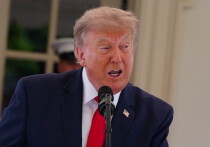 Трамп поддерживает пакет санкций в отношении России, предложенный приказавшим долго жить сенатором-ястребом Линдси Грэмом*, внесенным в РФ в реестр экстремистов и террористов