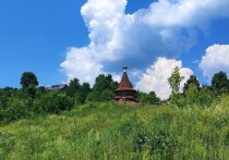 15 июля 2026 года — дата, когда энергия природы достигает своего пика, а граница между мирами становится тоньше. В народном календаре это день Берегини — великой покровительницы дома, семьи и плодородия. В православии это праздник Положения честной Ризы Пресвятой Богородицы. Две традиции сошлись в этот день, чтобы напомнить нам: забота о доме и близких — главный смысл лета.