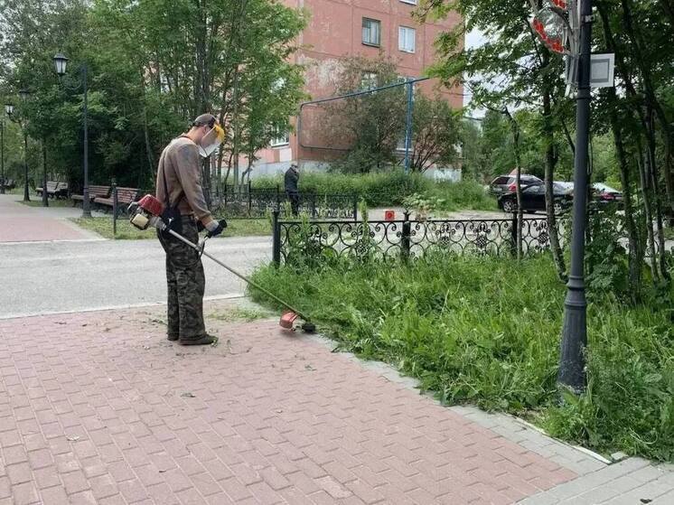 Лебедев рассказал о покосе травы и уборке на площадках и в скверах Мурманска