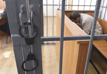 Суд продлил заключение под стражей московскому студенту, который под влиянием мошенников совершил кражу