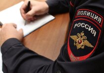 Аферу, связанную с развитием сельского хозяйства в Крыму, раскрыли сотрудники столичной полиции