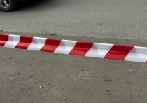 В Республике Алтай с 28 июля отменили карантин, действовавший из-за вспышки пастереллеза с конца прошлого года