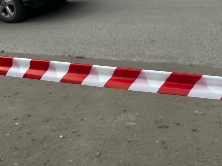Карантин по пастереллезу сняли в Республике Алтай