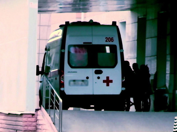 В Железногорске на двухлетнюю девочку упала деталь лифта, СК начал проверку
