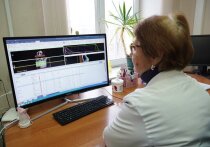 Кишечник называют «вторым мозгом» из-за его собственной сложной нервной сети