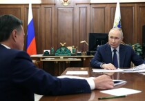 На встрече в Кремле Владимир Путин принял доклад губернатора Андрея Воробьёва о социально-экономической ситуации в Московской области