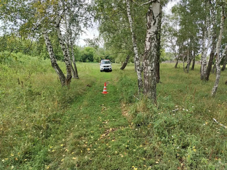 В ДТП в Омской области серьезно ранен ребенок