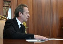 Владимир Путин провёл встречу с главой Союза театральных деятелей  Владимиром Машковым, который рассказал о работе проделанной в год 150-летия этой организации и планах на будущее