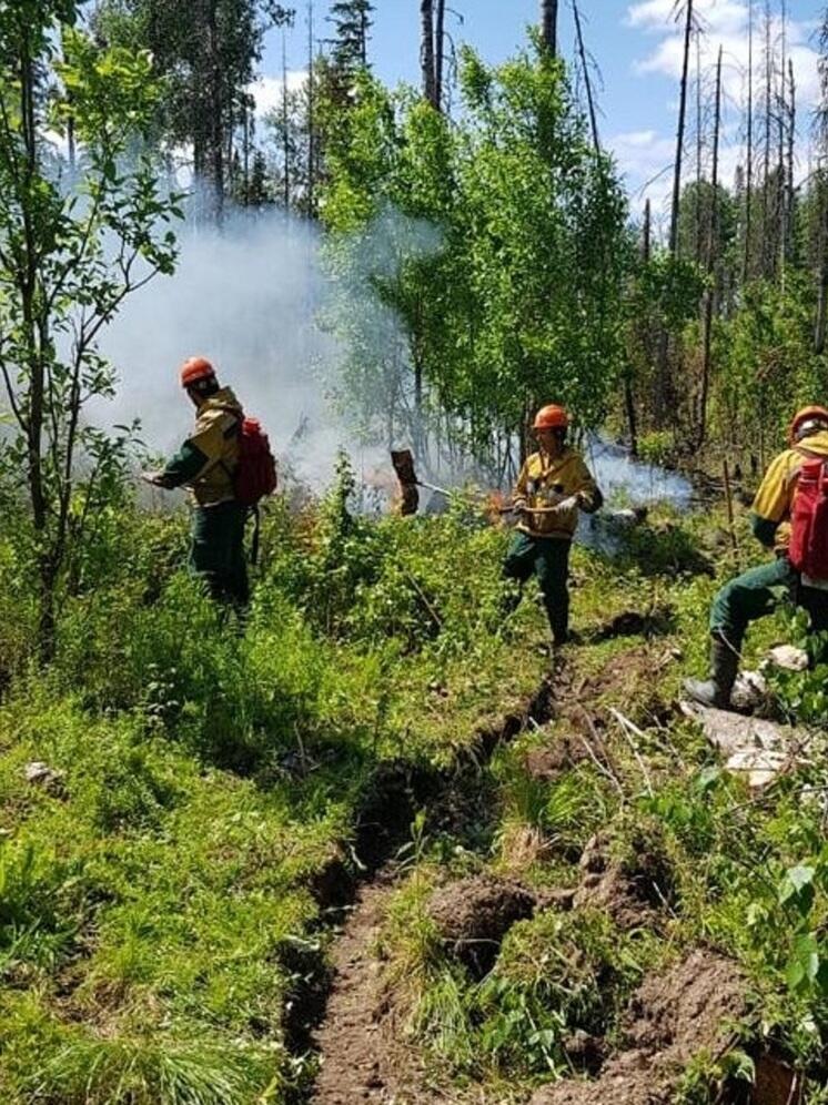 В Томской области за сутки потушили 9 лесных пожаров