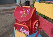 Август традиционно становится самым горячим месяцем для родителей школьников: пора закупать канцелярию, форму и обувь. Однако главной и самой ответственной покупкой перед Днем знаний по праву считается рюкзак.