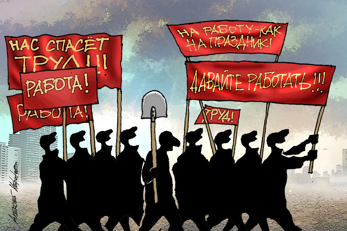Диплом больше не компас для карьеры: половина россиян трудится не по специальности