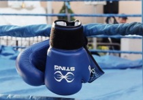 Чемпион мира по версии WBA в тяжелом весе россиянин Мурат Гассиев заявил о готовности провести поединок с британским боксером Мозесом Итаумой