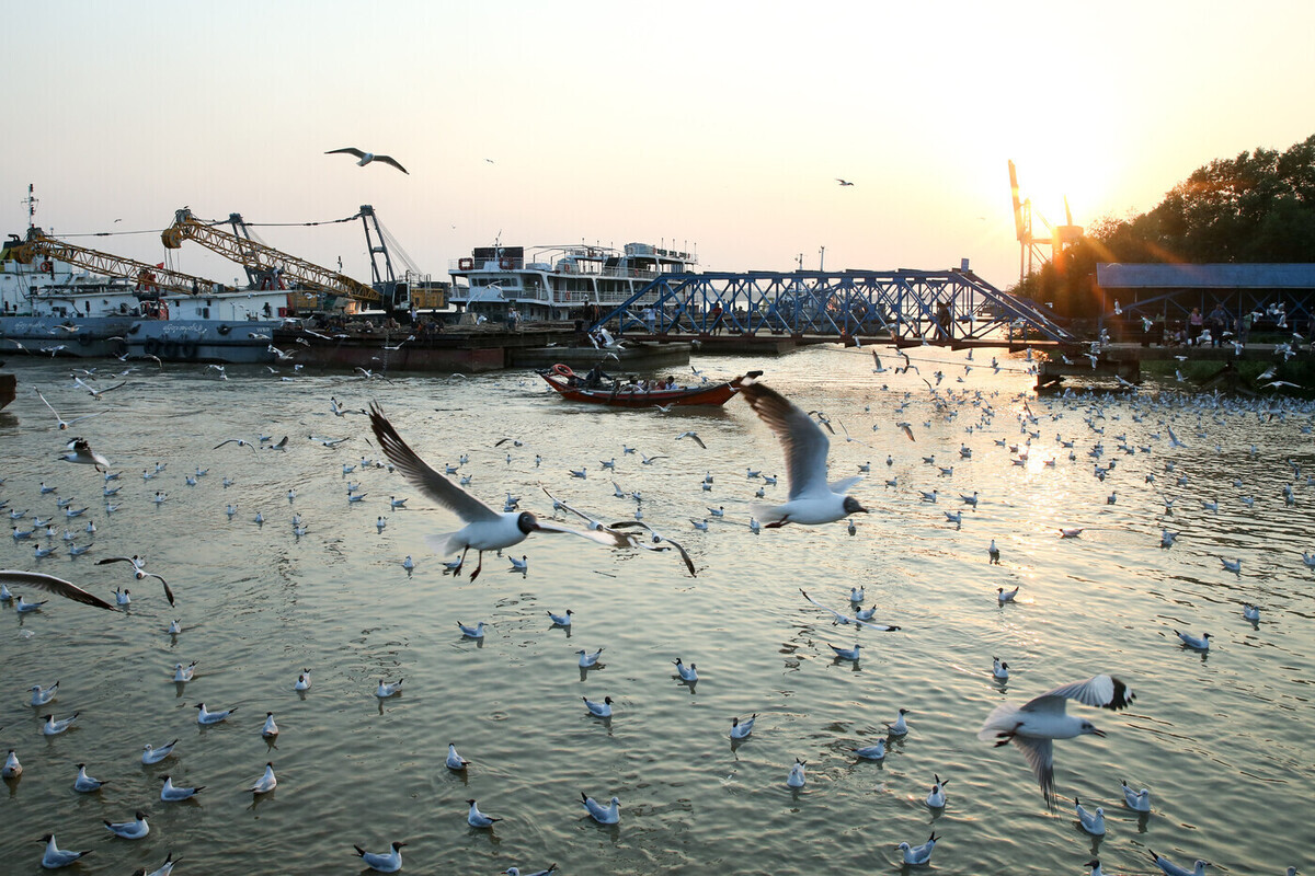 
                        ФОТО: Myo Kyaw Soe/XinHua/Global Look Press                    