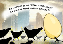 Российский рынок труда ждут важные перемены: с 1 сентября работодателям законодательно запретят устанавливать испытательный срок для женщин и опекунов с детьми до трех лет
