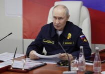 Владимир Путин, принимая участие в завершающей стадии учений Тихоокеанского флота, пообещал «зеркально» отвечать на пиратские захваты судов РФ странами НАТО, причем в любых акваториях