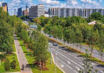 Мэр Москвы Сергей Собянин в своем блоге подвел промежуточные итоги городской программы озеленения