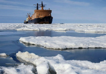 Новый вид морских улиток открыли российские ученые в Арктике, в море Лаптевых