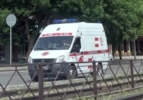 Бийские медики приняли роды прямо в машине скорой помощи. На свет появился семимесячный малыш. Как отметила фельдшер, эти роды были особенно стремительными.