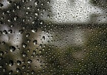 Коммунальщики Владивостока перешли на усиленный режим работы, ведь во время циклона выпало 19 миллиметров осадков