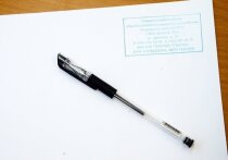 В горячую для абитуриентов всех мастей пору ожидания результатов облетевшая Рунет история абитуриента магистратуры СПбГУ всколыхнула нешуточные страсти
