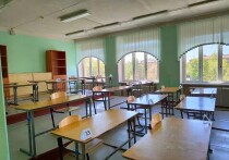 Журналисты NEWS