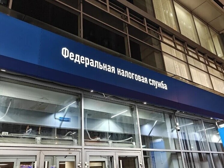 В Петербурге начальник коммерческой компании задолжал государству 86 млн налогов