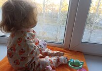 В Северной столице перед судом предстанут главный врач и три акушера-­гинеколога частной клиники. Все они обвиняются в организации продажи младенцев иностранцам, сообщила руководитель объединенной пресс-­службы судов Петербурга Дарья Лебедева.