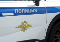 Похитителя компьютерных процессоров из пункта выдачи заказов задержали сотрудники полиции в подмосковных Химках
