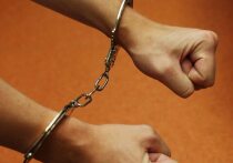 В Долгопрудном продолжается борьба местных жителей против строительства цементного завода на берегу Клязьминского водохранилища