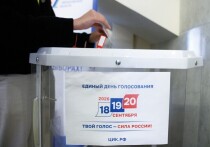 Как проголосовать онлайн на выборах 18–20 сентября 2026 года: кому доступно ДЭГ, до какого числа подать заявление и чем отличается порядок в Москве