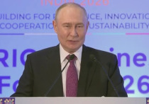 Владимир Путин, выступая в Индии на Деловом форуме БРИКС, который по традиции предваряет саммит лидеров, заявил о том, что современный мир проходит через этап «глубинных структурных преобразований»