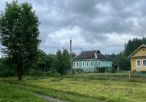 С приходом осени владельцы дачных домов начинают заниматься консервацией своих загородных участков на зиму